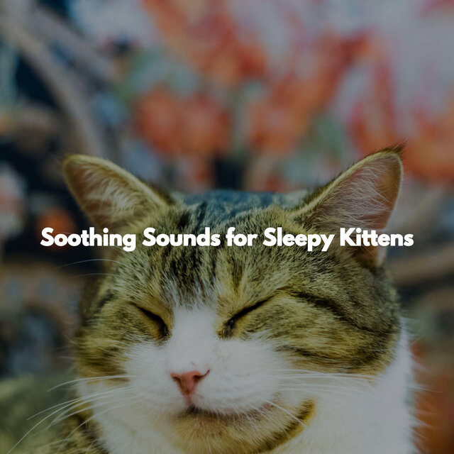 Soothing Sounds for Sleepy Kittens