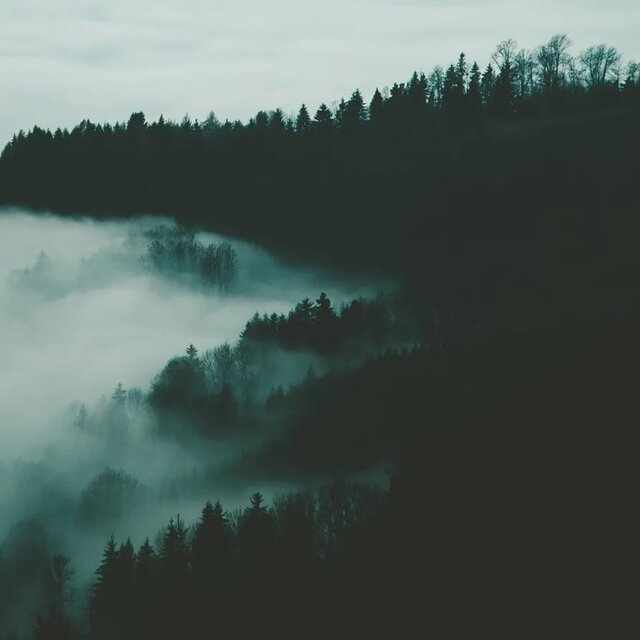 Autumn Vibes