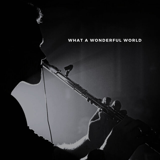 What a Wonderful World ( Instrumental )