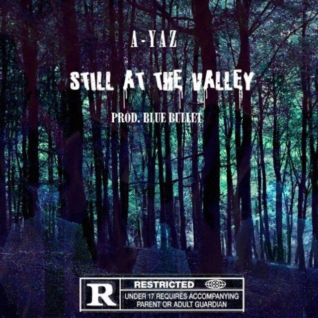 Still At The Valley