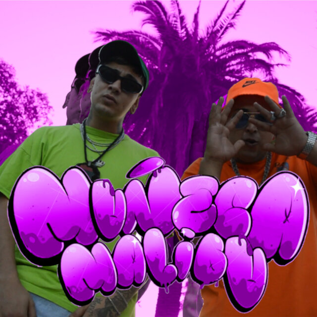 Muñeca Malibu