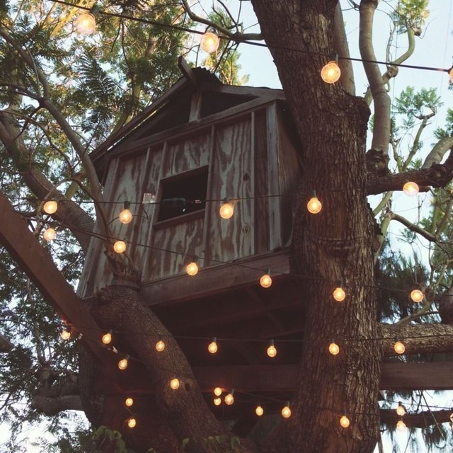 Treehouse