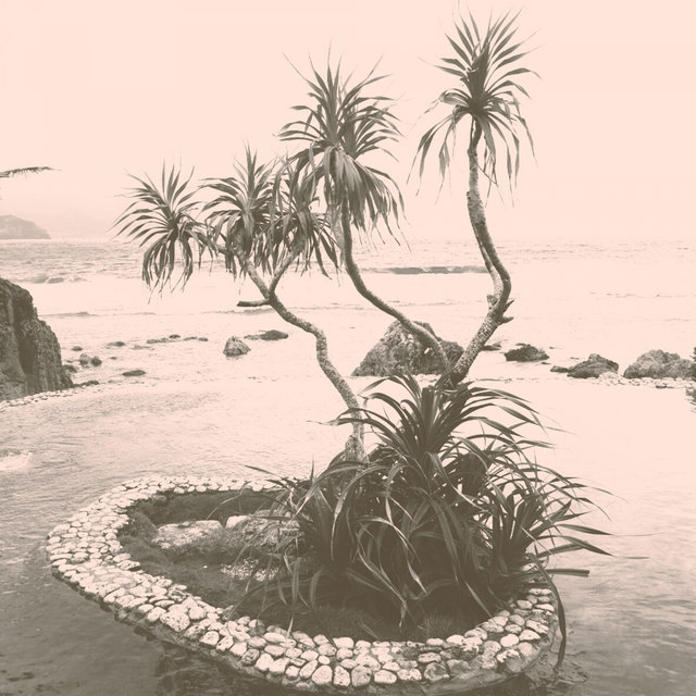 Bossa Saxophone - Ambiance for Winter Holidays