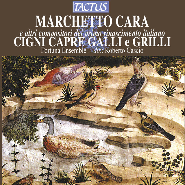 Cigni capre galli e grilli