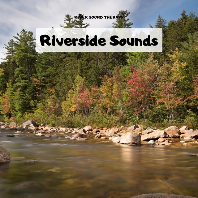 Riverside Sounds: Fostering Focus with River Soundscapes