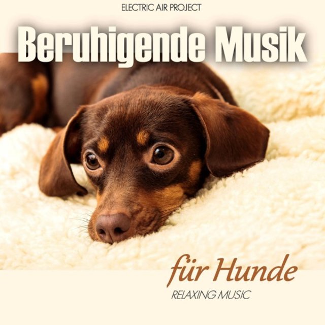 Beruhigende Musik für Hunde (Relaxing Music)