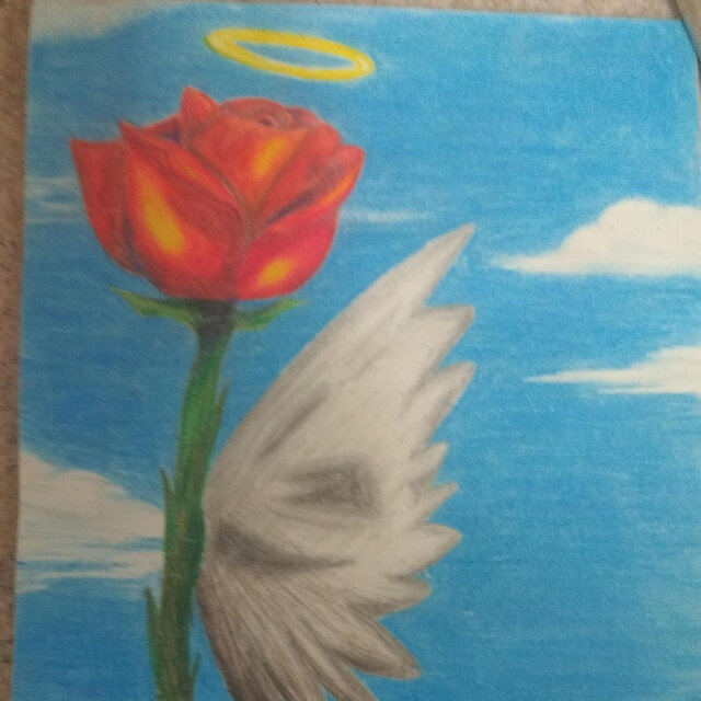 Holy Rose