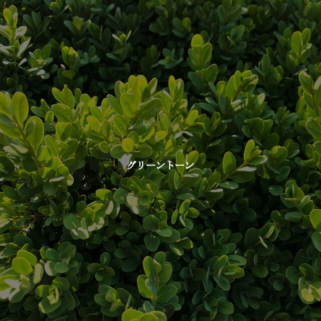 グリーントーン