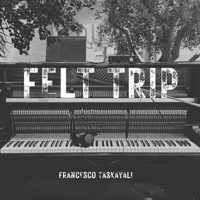 Felt Trip