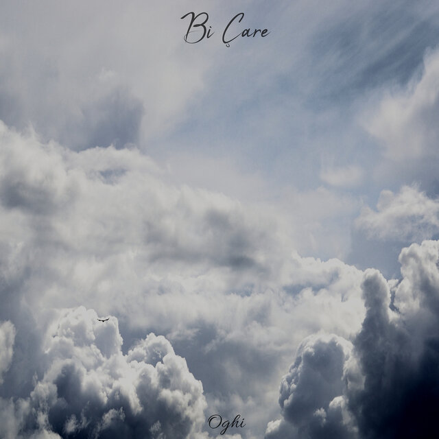 Bi Çare