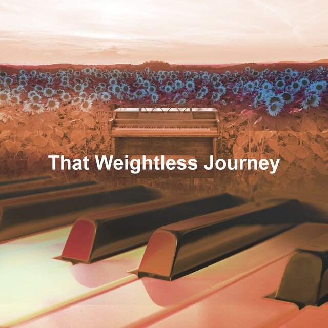 That Weightless Journey