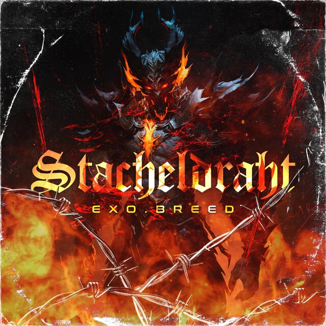 STACHELDRAHT 