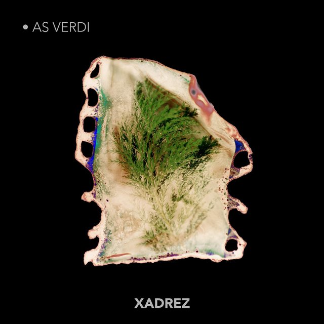 Xadrez - As Verdi