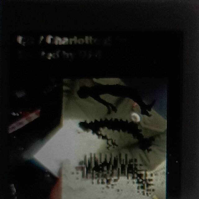 Roadkill girl: The Mixtape