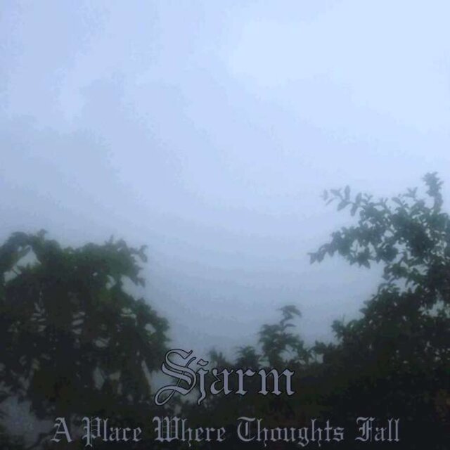 A Place Where Thoughts Fall