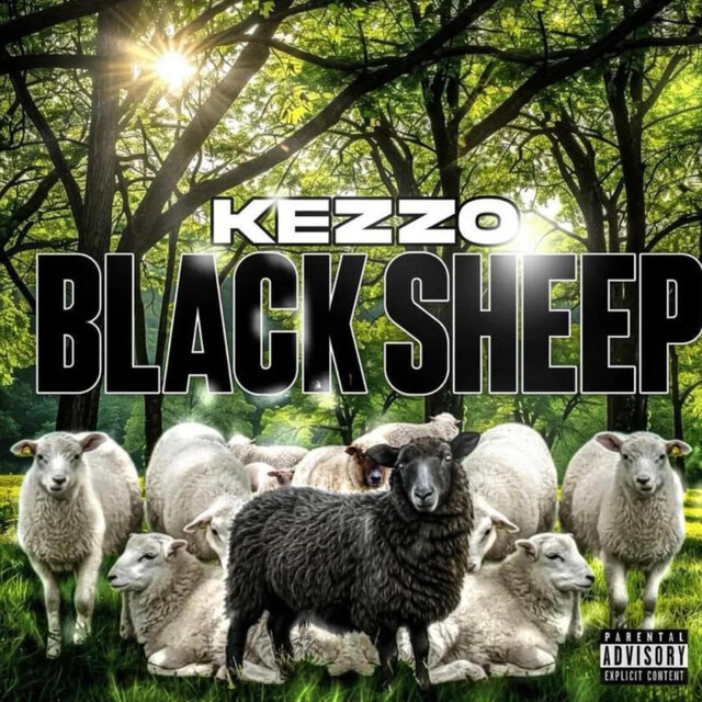 BLACK SHEEP
