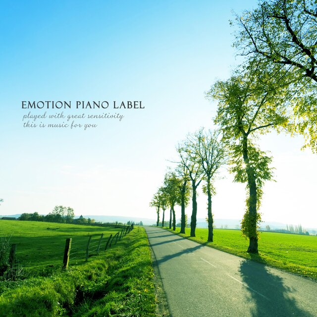 Walking along a boulevard