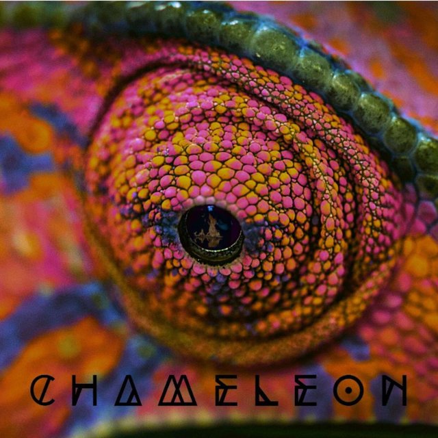 Chameleon