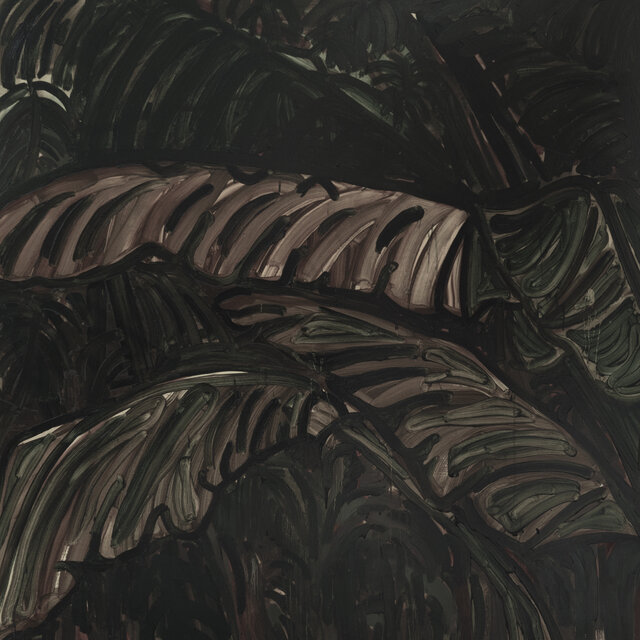 Entagled in Vines