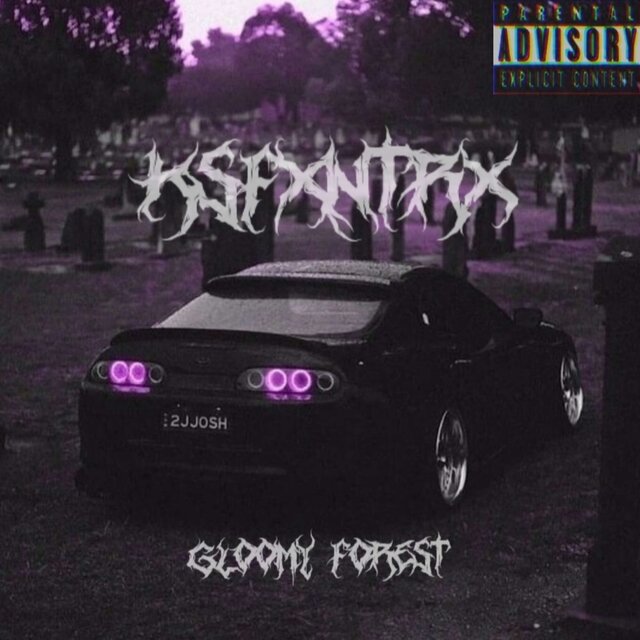Gloomy Forest