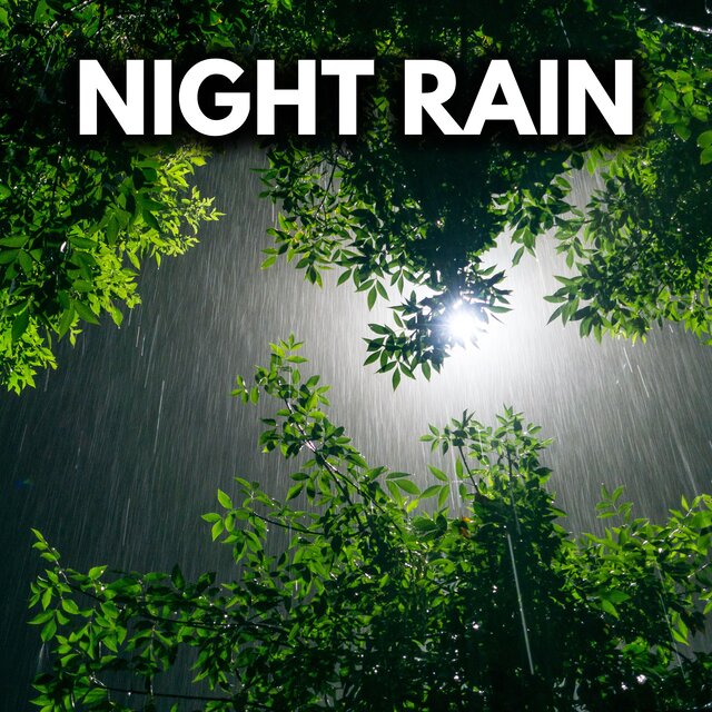 Night Rain