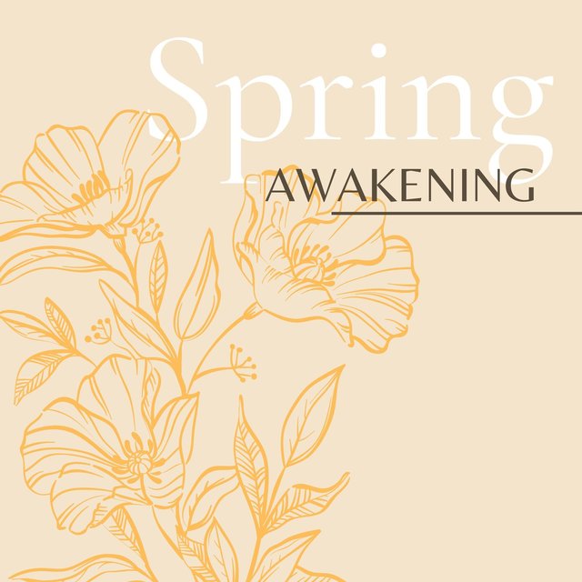 Spring Awakening: Relaxing New Age Music for the Spring Equinox