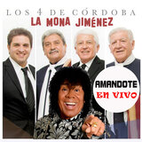 Amándote