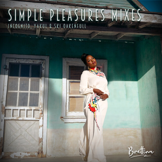 Simple Pleasures (Remixes)
