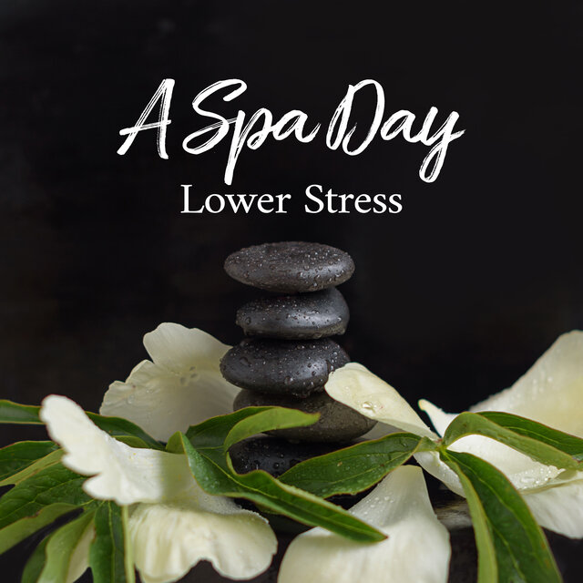 A Spa Day (Lower Stress, Music for Massage, Wellness, Relaxation, Healing, Beauty & Well-being, Meditation)
