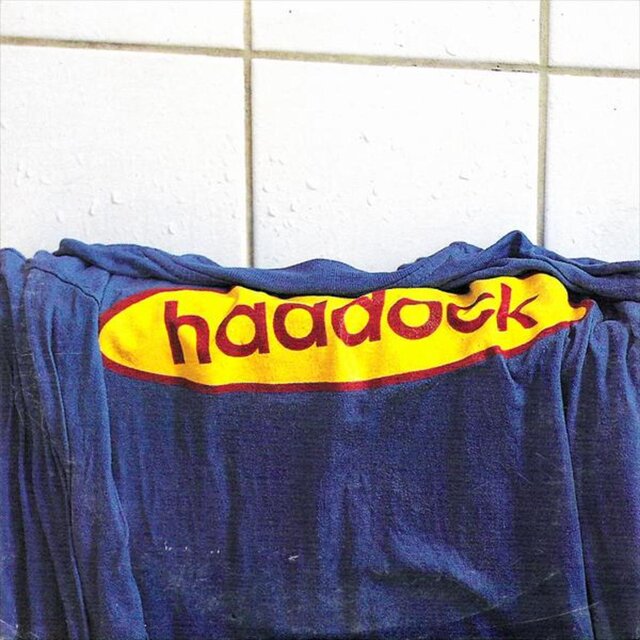 Haddock