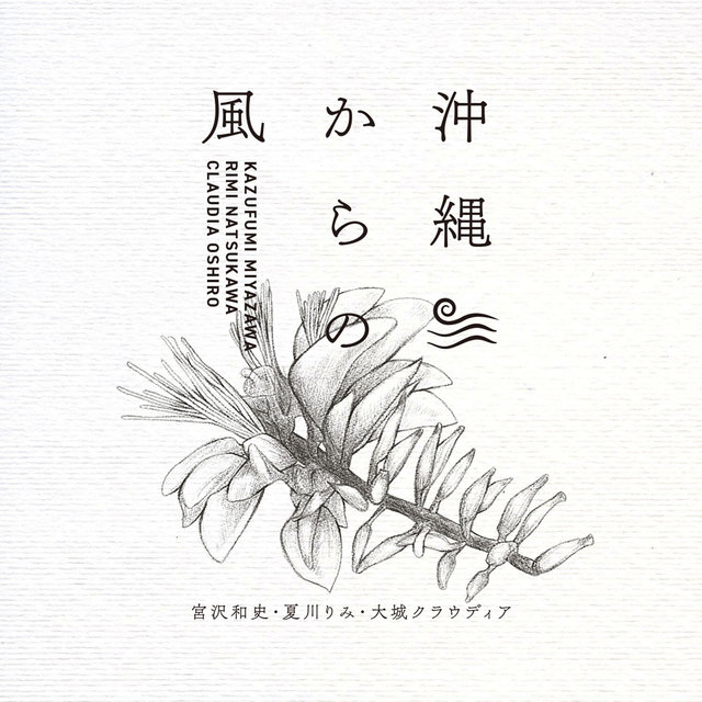沖縄からの風