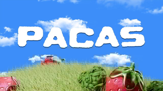 Pacas (Lyric Video)