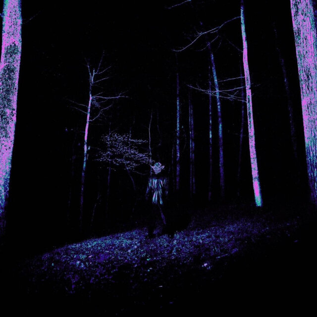 Director's Cut