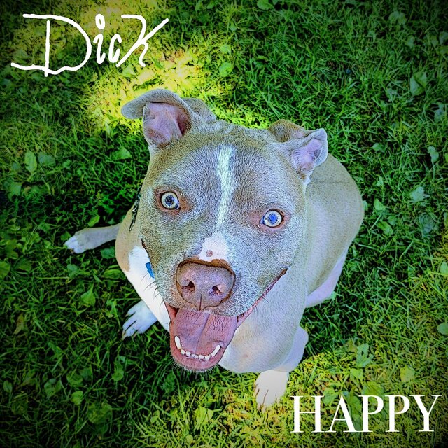 Happy (SINGLE)