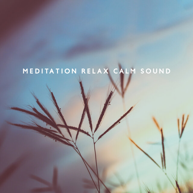 Meditation Relax Calm Sound