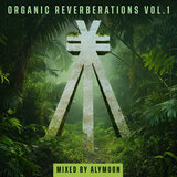 Blinking Stars (Greg Ochman Remix - Mixed)