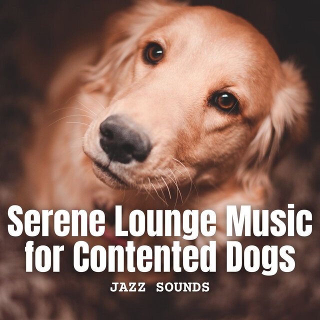 Jazz Sounds: Serene Lounge Music for Contented Dogs
