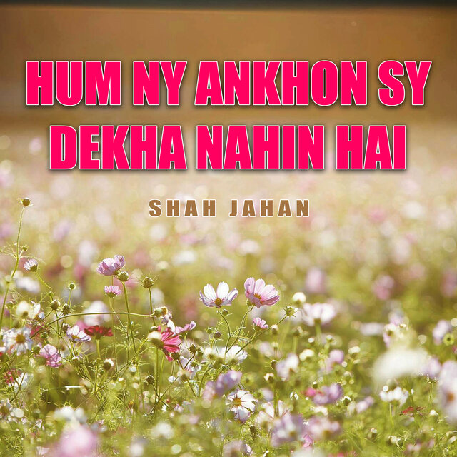 Hum Ny Ankhon Sy Dekha Nahin Hai