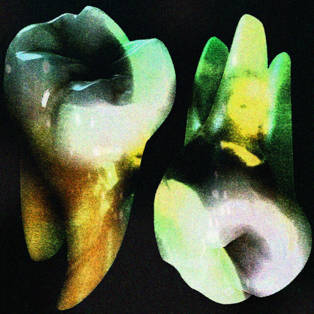 baby teeth