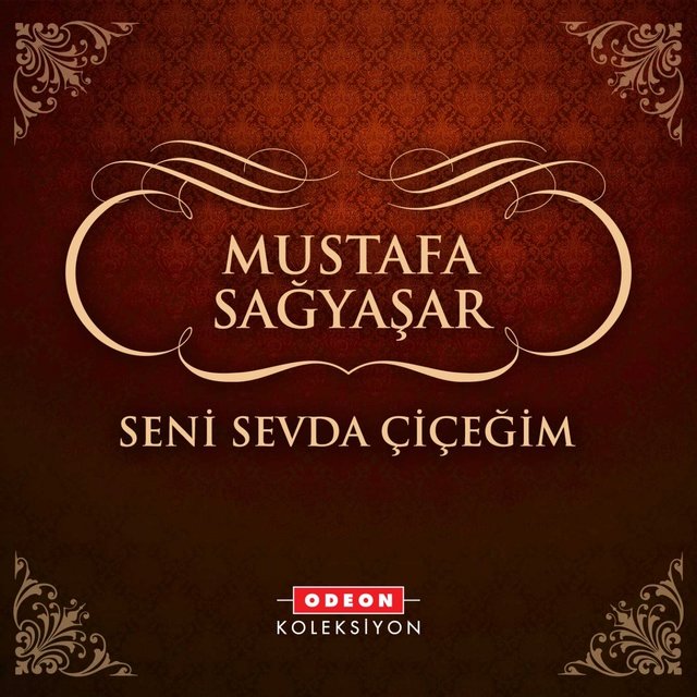 Seni Sevda Çiçeğim