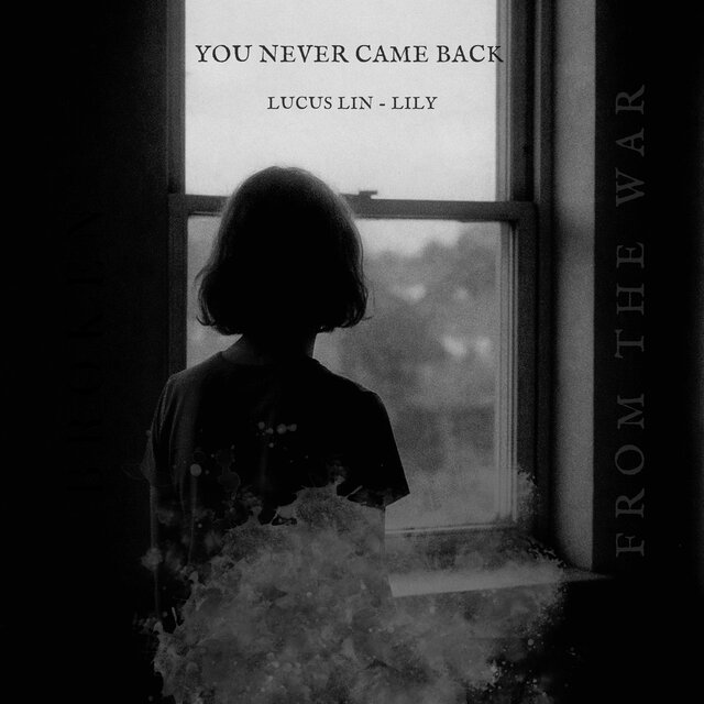 You Never Came Back from the War