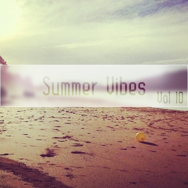 Summer Vibes Vol, 10