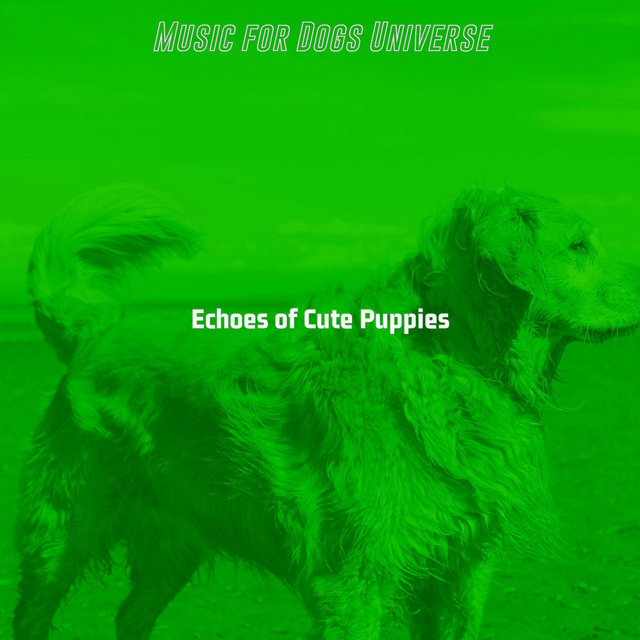 Echoes of Cute Puppies