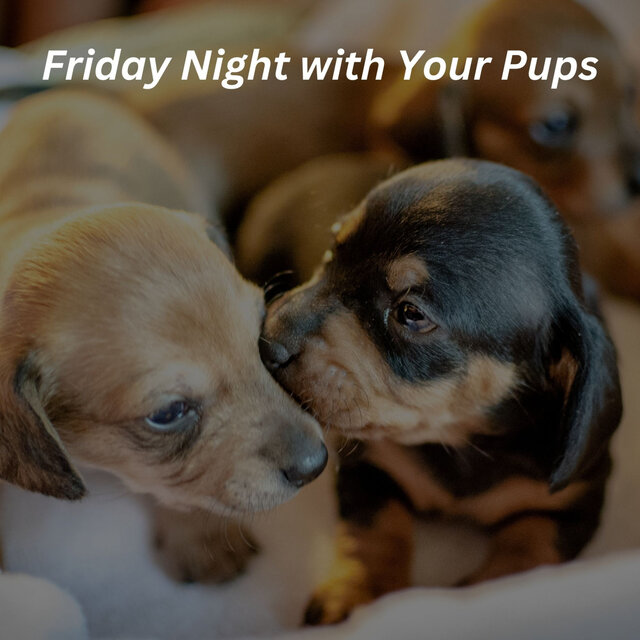 Friday Night with Your Pups