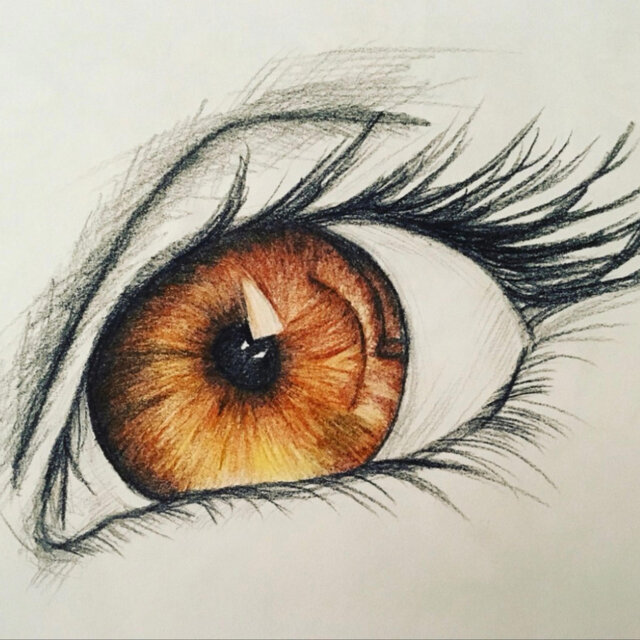 Brown Eyes