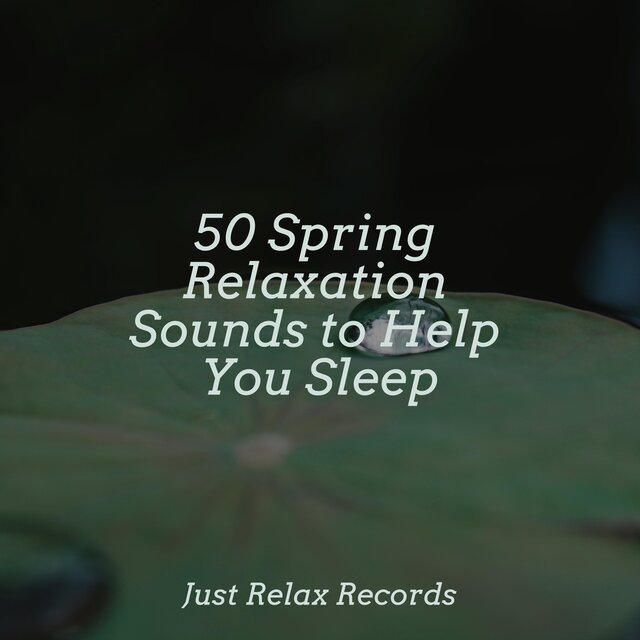50 Spring Relaxation Sounds to Help You Sleep