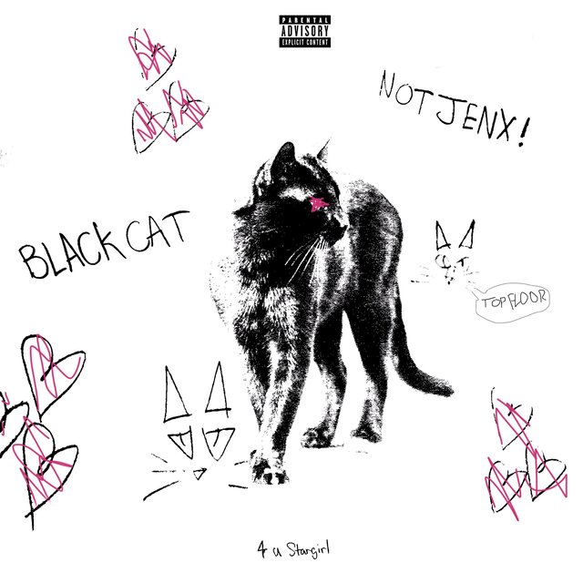 Black Cat