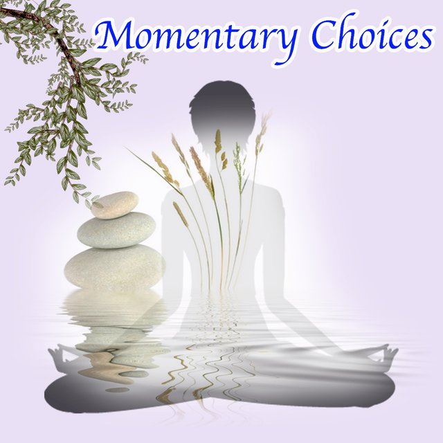 Momentary Choices