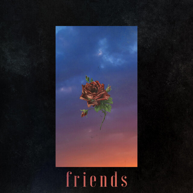 Friends