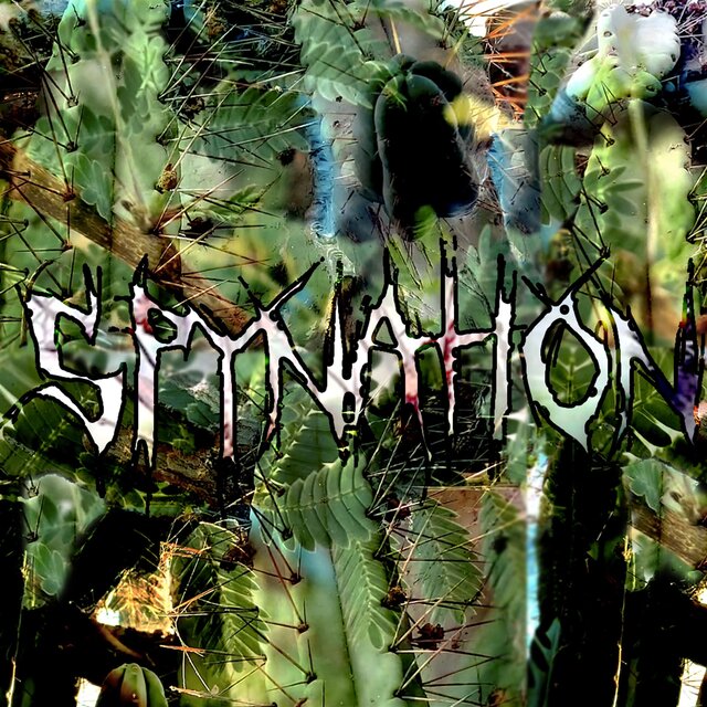 Spynation